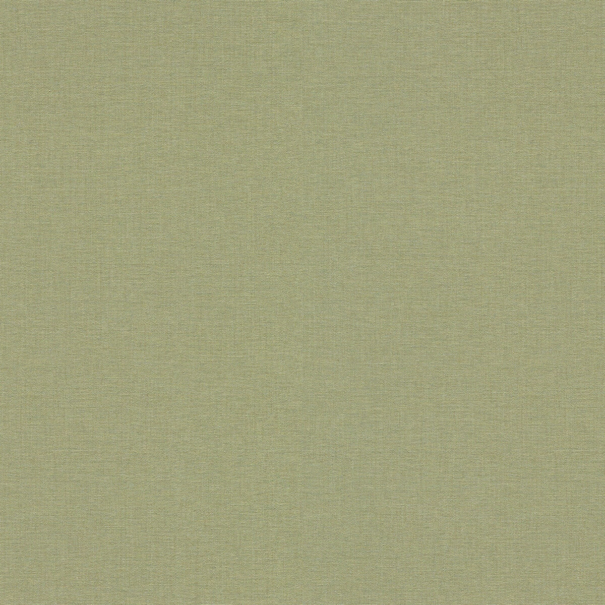 12242-07 Elysium Secrets Erismann