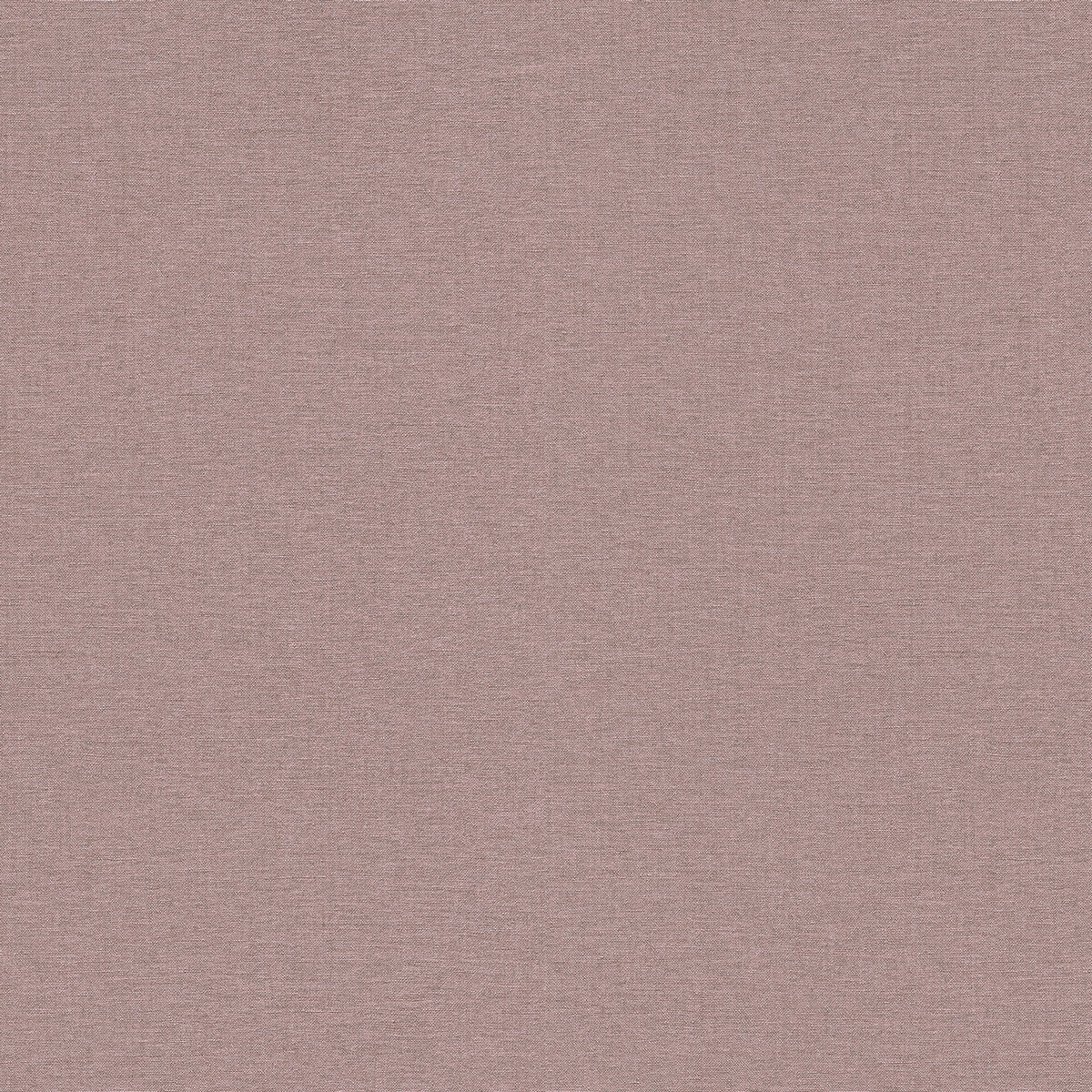 12242-09 Elysium Secrets Erismann