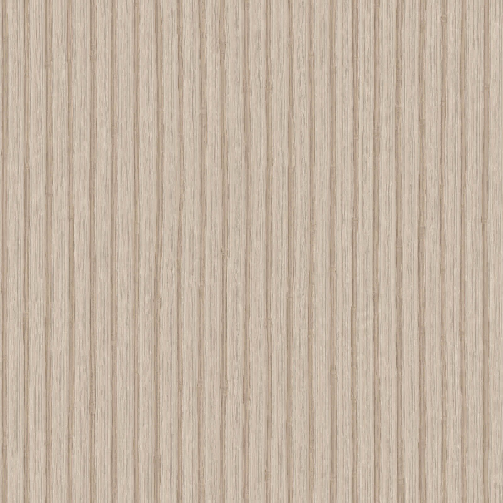 Z30337 Trussardi VIII Zambaiti
