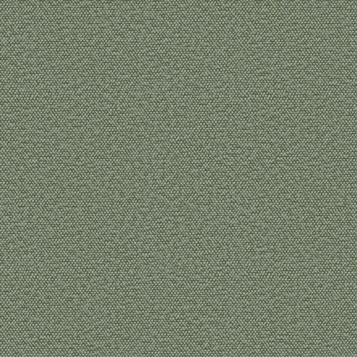 Z16726 Murella 100 Zambaiti