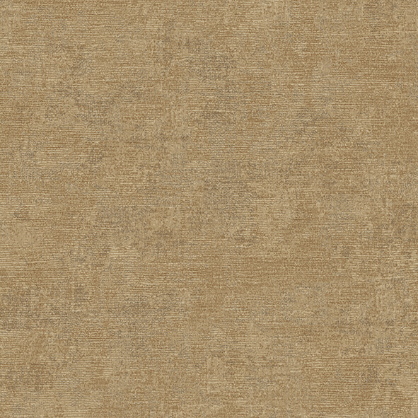 RGI 1006-9 Giorgio Alessandro Allori