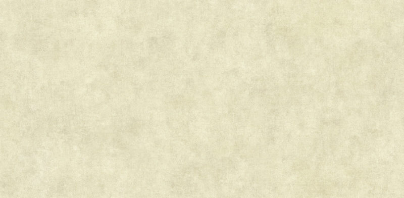 15044-6 Берти Berti Alessandro Allori